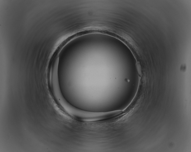 X0000091671030200708231324