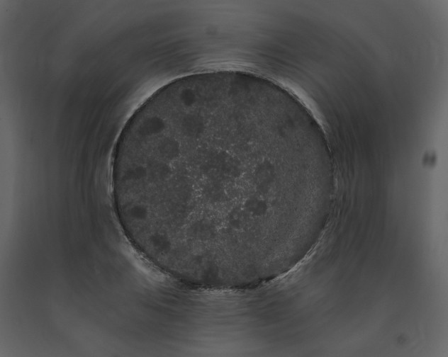 X0000091671031200708231324