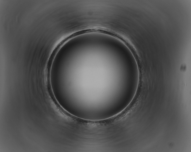 X0000091671032200708231324