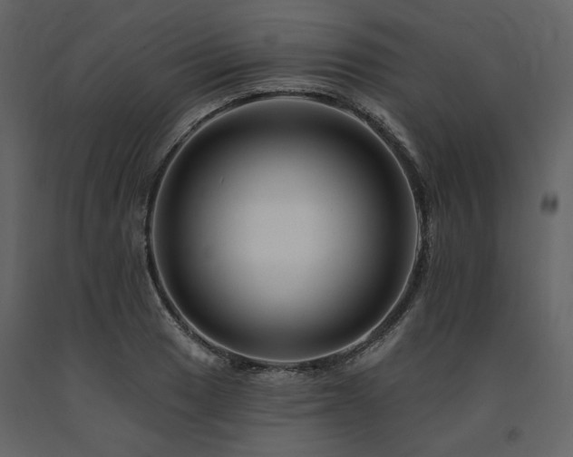 X0000091671033200708231324