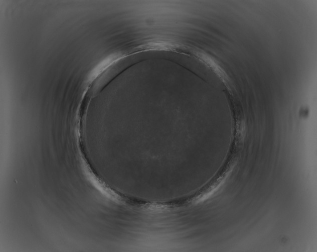 X0000091671034200708231324