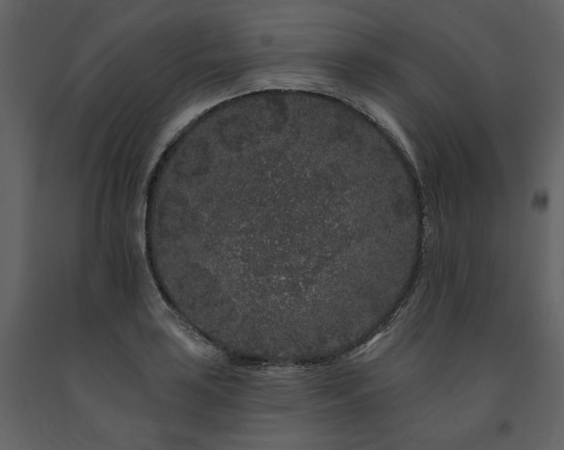 X0000091671035200708231324