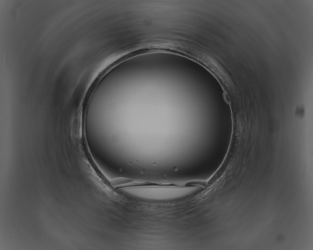 X0000091671036200708231324