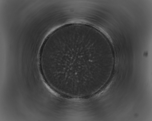 X0000091671037200708231324