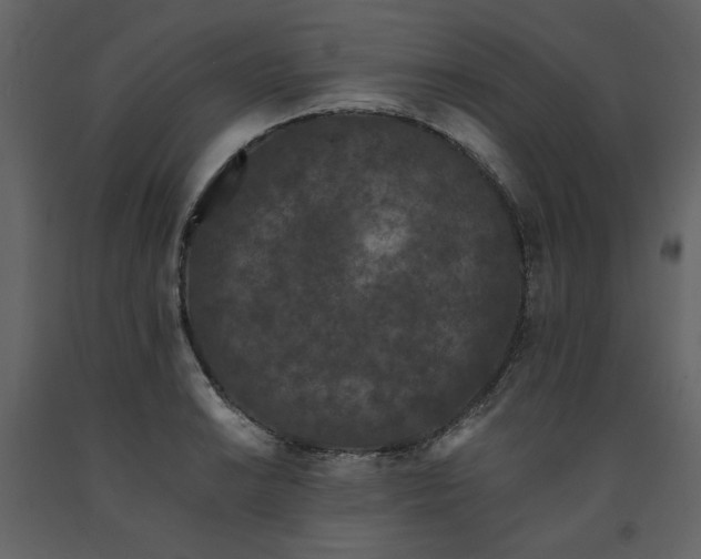 X0000091671038200708231324