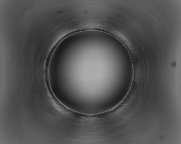 X0000091671039200708231324