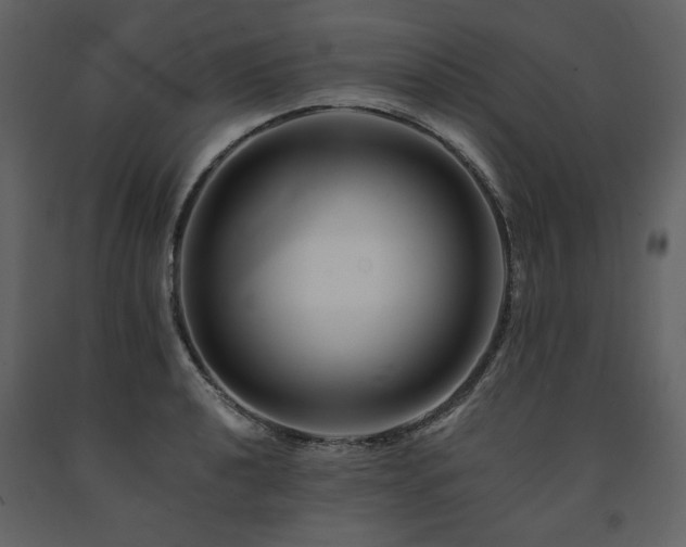 X0000091671040200708231324