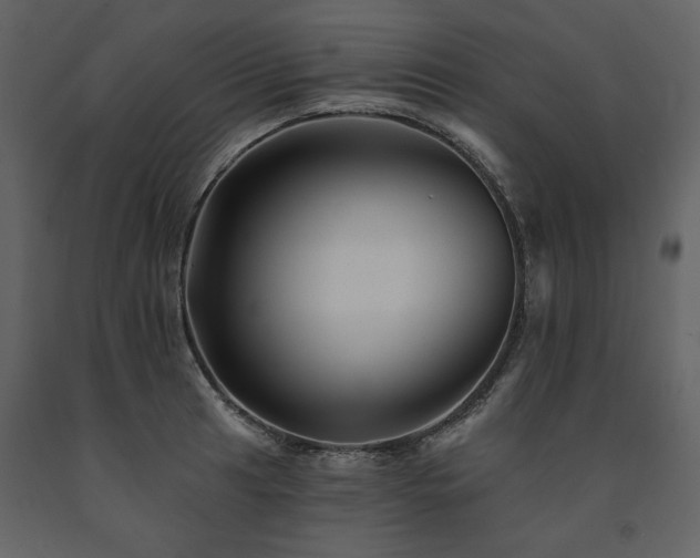 X0000091671041200708231324