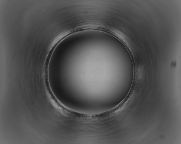 X0000091671042200708231324