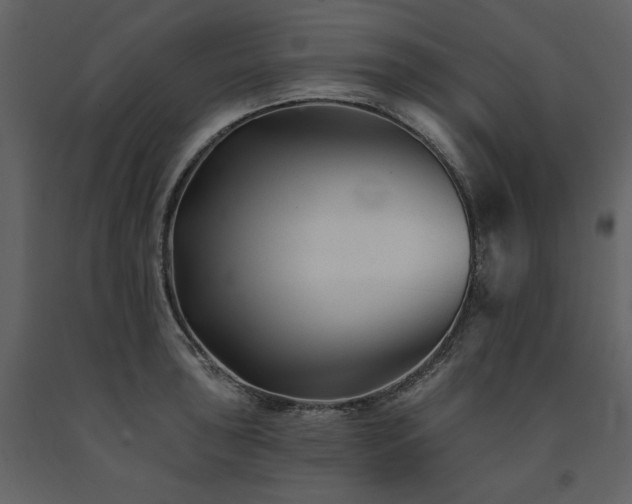 X0000091671043200708231324