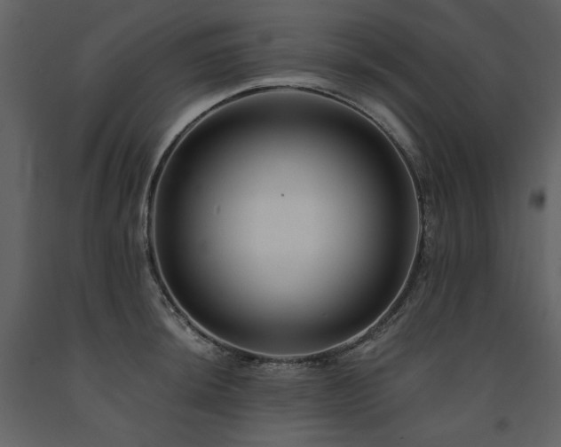 X0000091671044200708231324