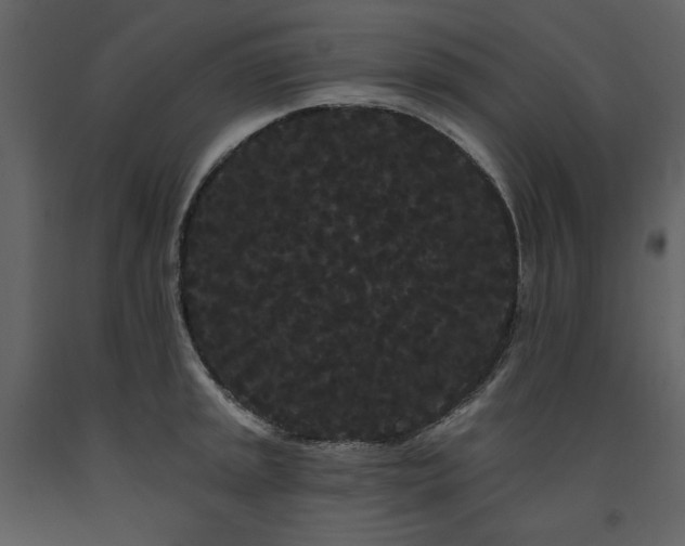 X0000091671045200708231324