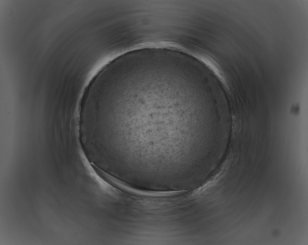 X0000091671046200708231324
