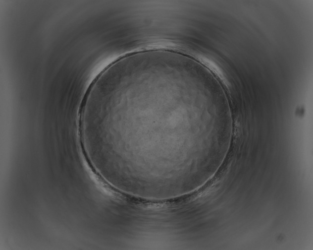 X0000091671047200708231324