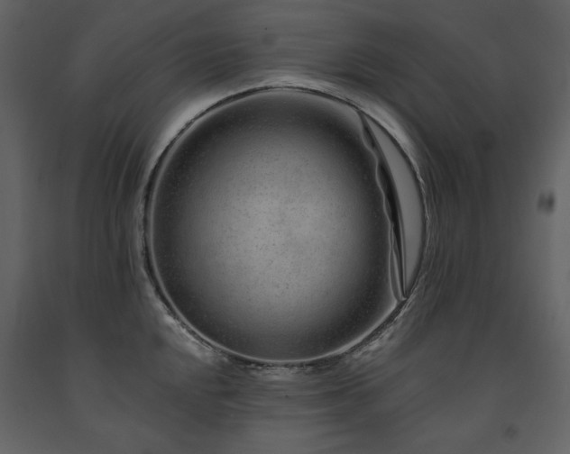 X0000091671048200708231324