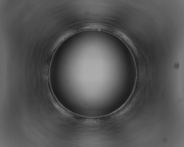 X0000091671049200708231325