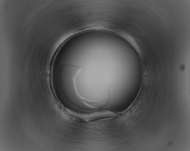 X0000091671051200708231325