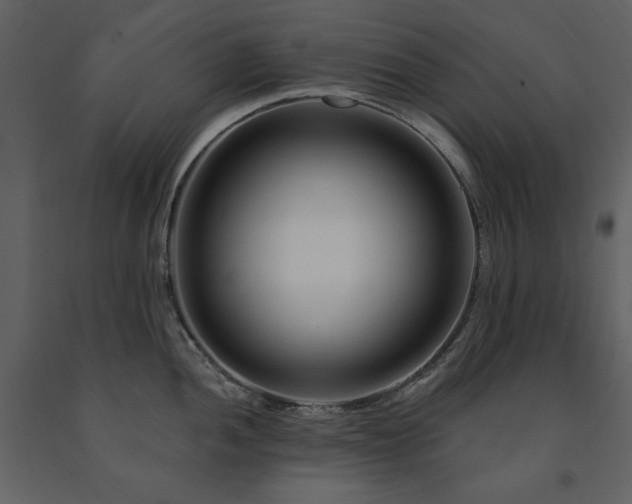 X0000091671052200708231325