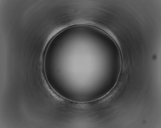 X0000091671053200708231325