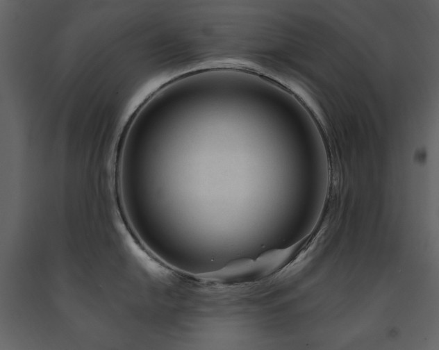 X0000091671054200708231325