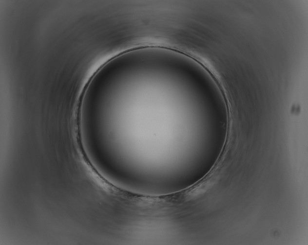 X0000091671056200708231325