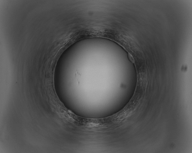 X0000091671057200708231324