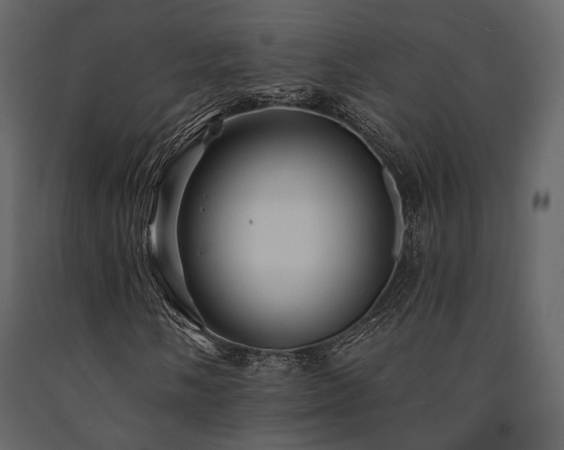 X0000091671058200708231324