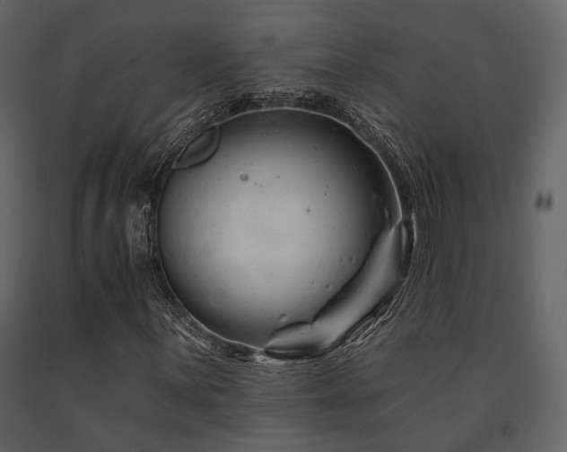 X0000091671059200708231324
