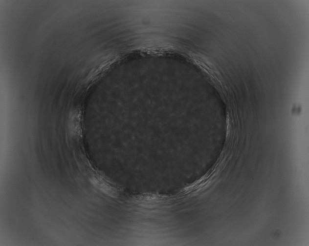X0000091671060200708231324