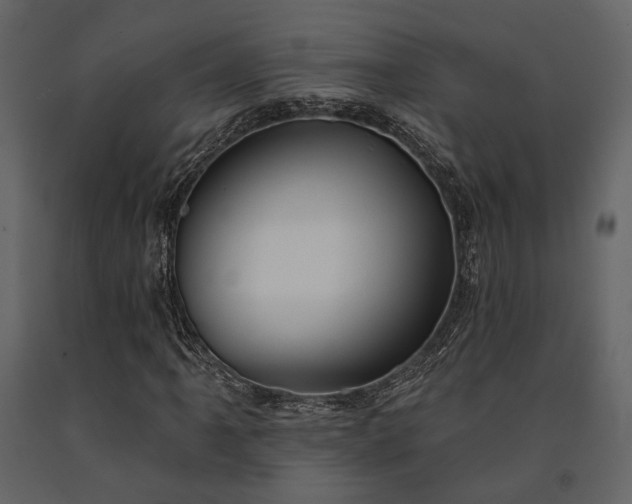 X0000091671061200708231324