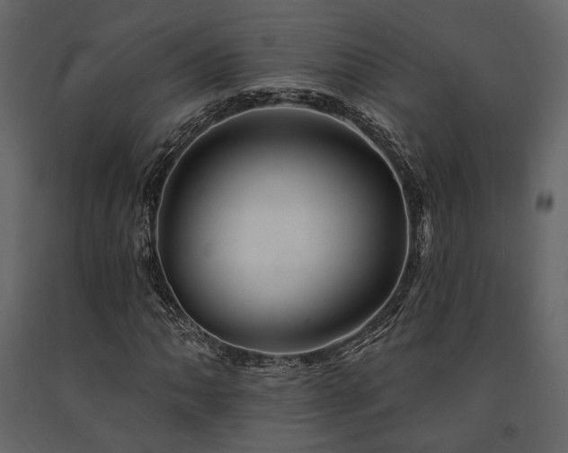 X0000091671062200708231324