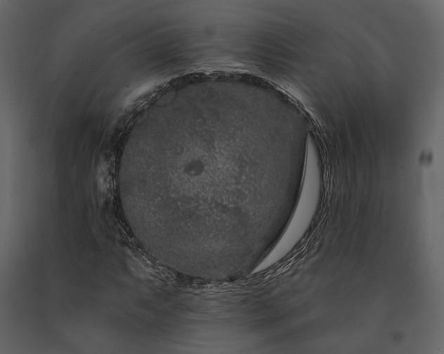 X0000091671063200708231324