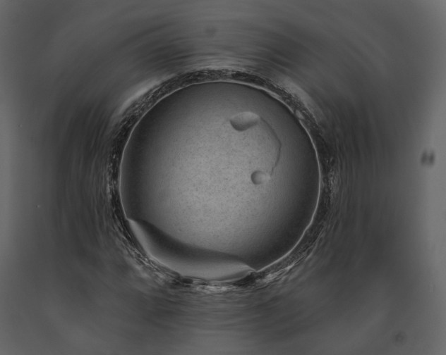 X0000091671064200708231324