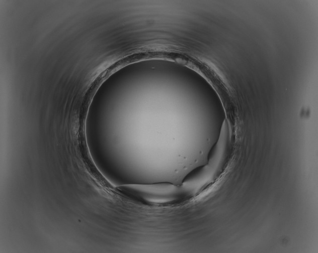 X0000091671065200708231324