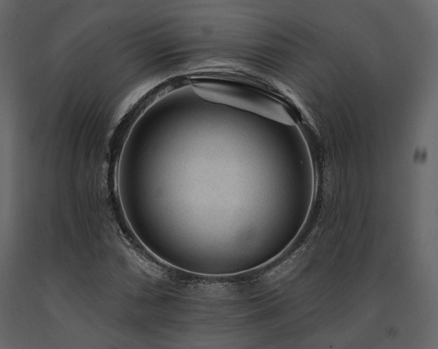 X0000091671066200708231324
