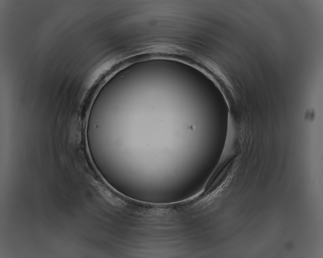 X0000091671067200708231324