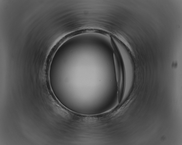 X0000091671068200708231324