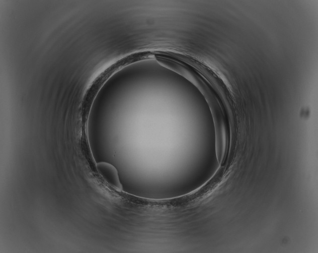 X0000091671069200708231324