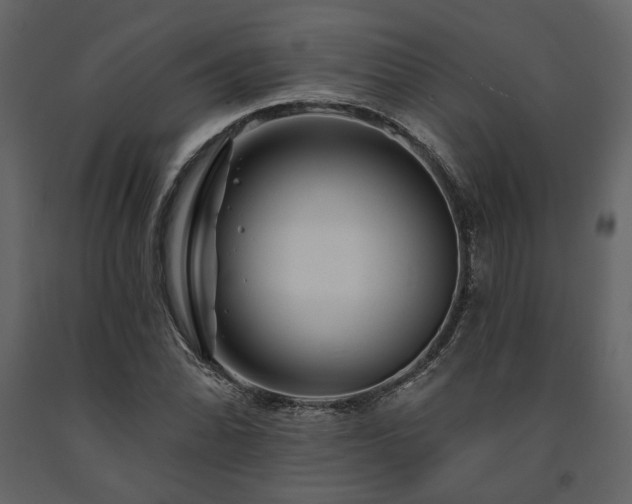 X0000091671070200708231324