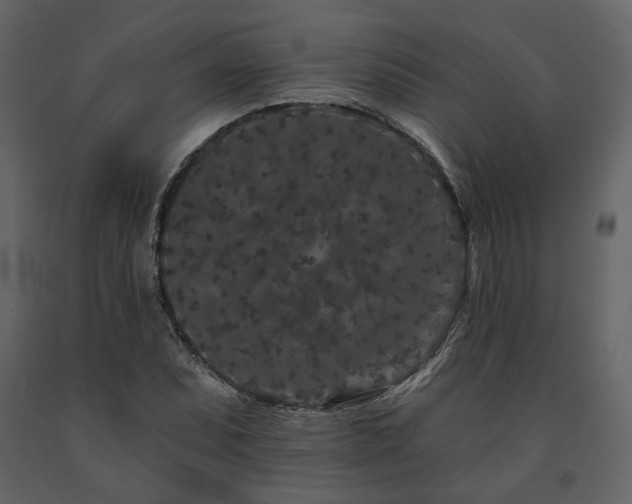 X0000091671071200708231324