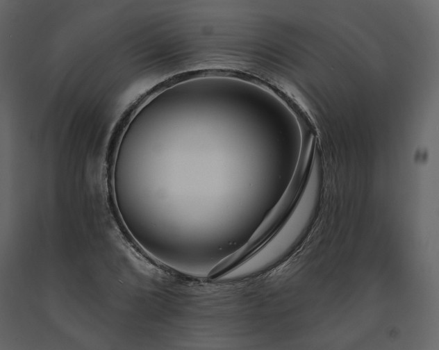 X0000091671072200708231324