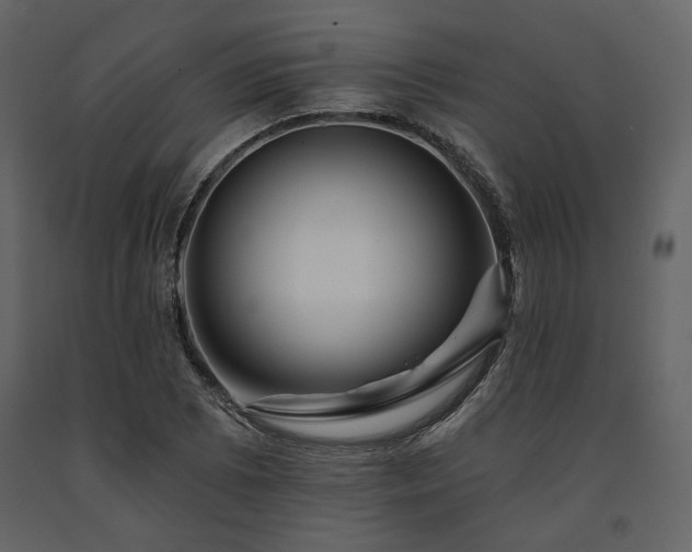 X0000091671073200708231324