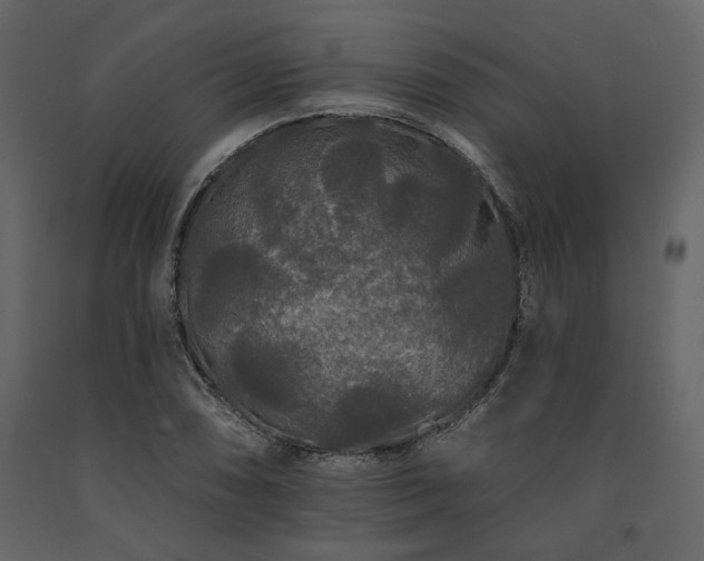 X0000091671074200708231324