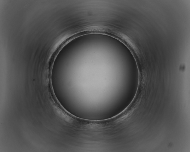 X0000091671075200708231324