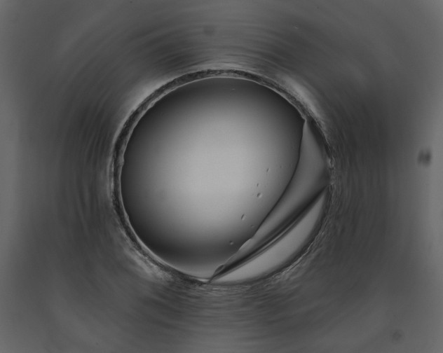 X0000091671076200708231324