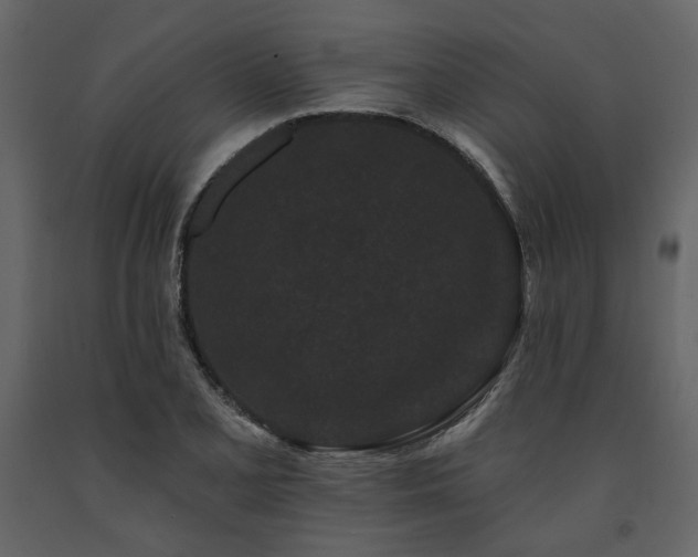 X0000091671077200708231324