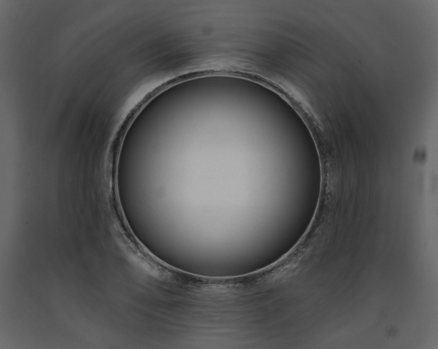 X0000091671078200708231324
