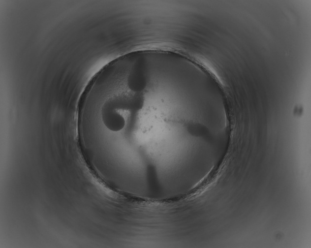 X0000091671079200708231324
