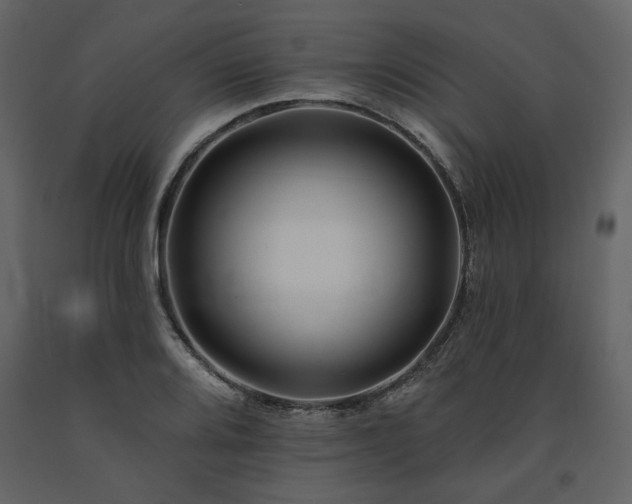X0000091671080200708231324