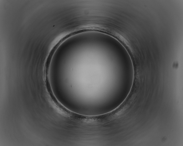 X0000091671082200708231324